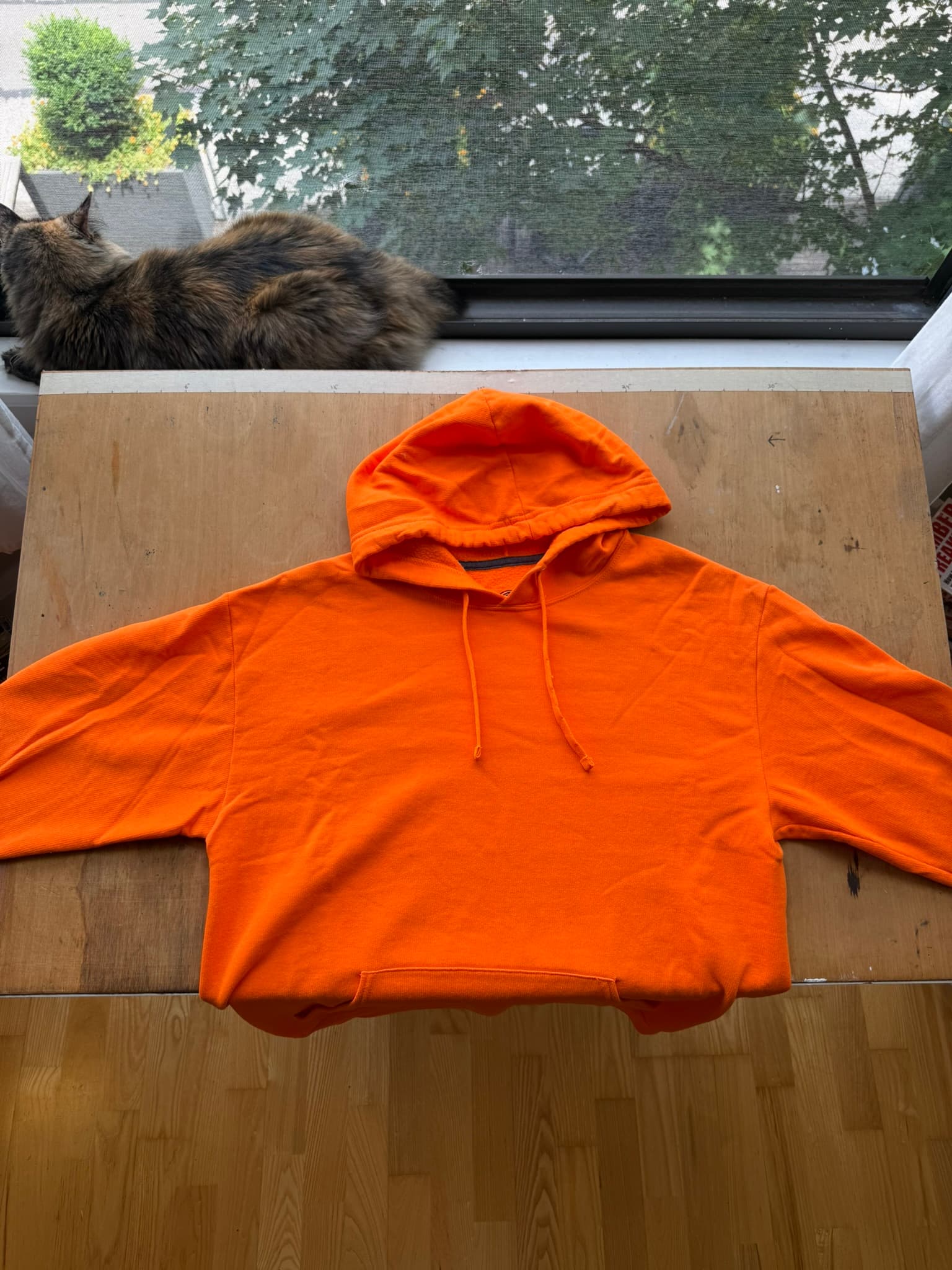 Hi-Vis Hoodie